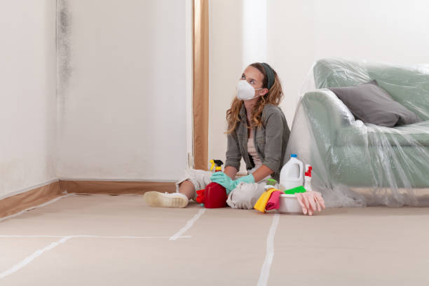 Reliable Mold Testing contractor in Florence, AZ by WQB Mold Removal